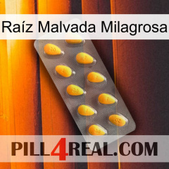 Raíz Malvada Milagrosa cialis1